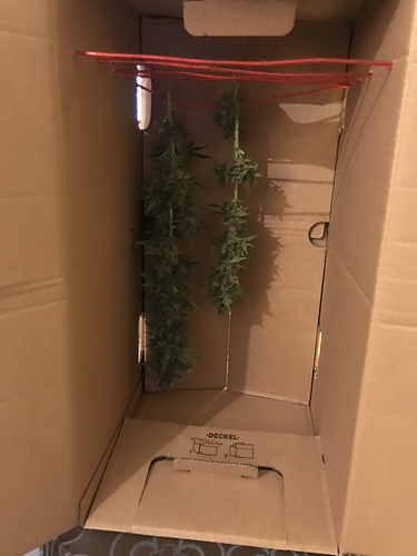 Growreport Bild 6