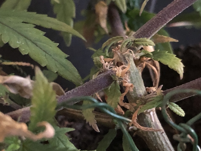 Growreport Bild 5