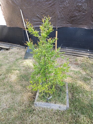 IMG_20230601_0947542871