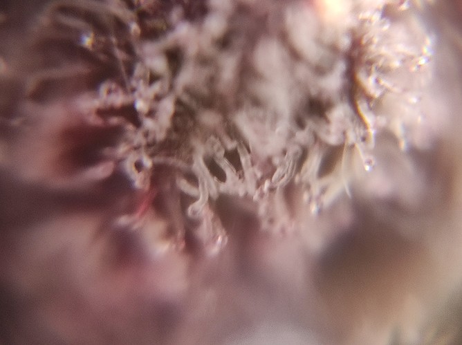 Growreport Bild 11
