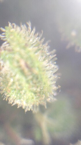 IMG_20230704_014254