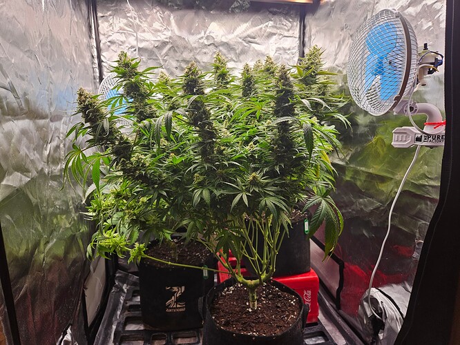 Growreport Bild 5