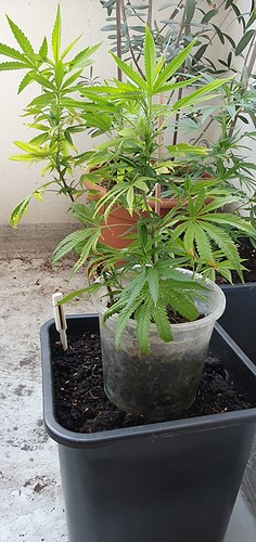 Growreport Bild 16