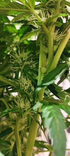 Growreport Bild 2
