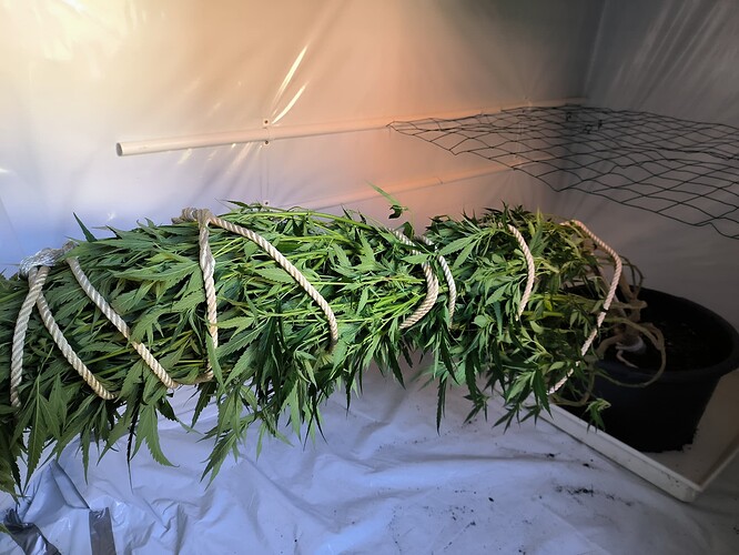 Growreport Bild 8
