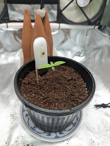 Growreport Bild 25