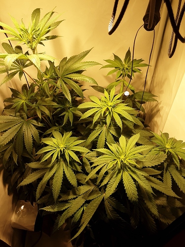 Growreport Bild 17