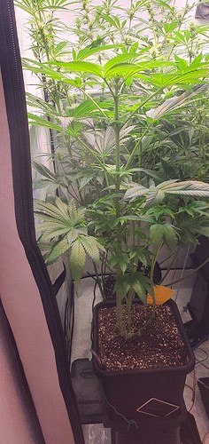 Growreport Bild 10