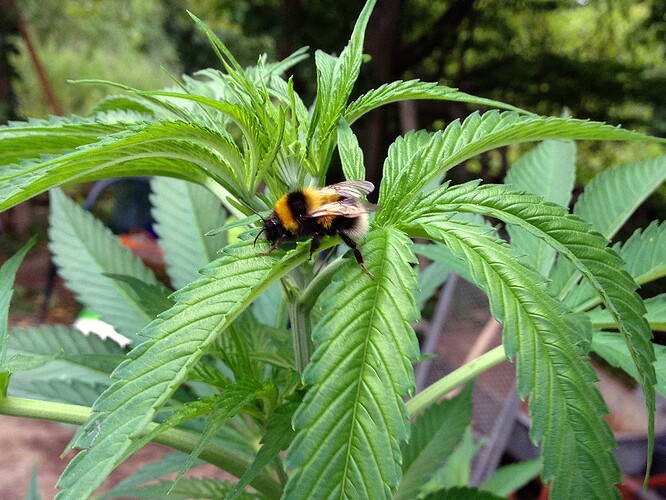 074_FastBudsZeltTag1_09