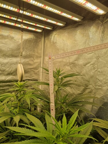 Growreport Bild 8