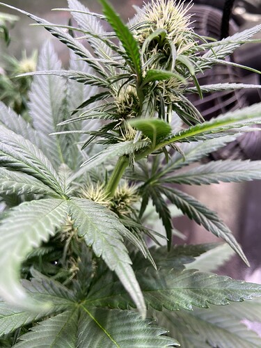 Growreport Bild 5