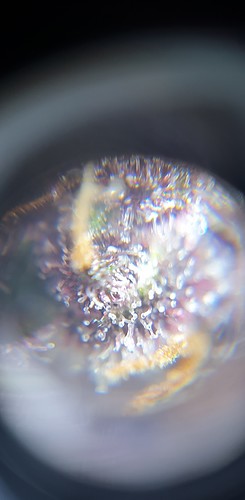 Growreport Bild 23