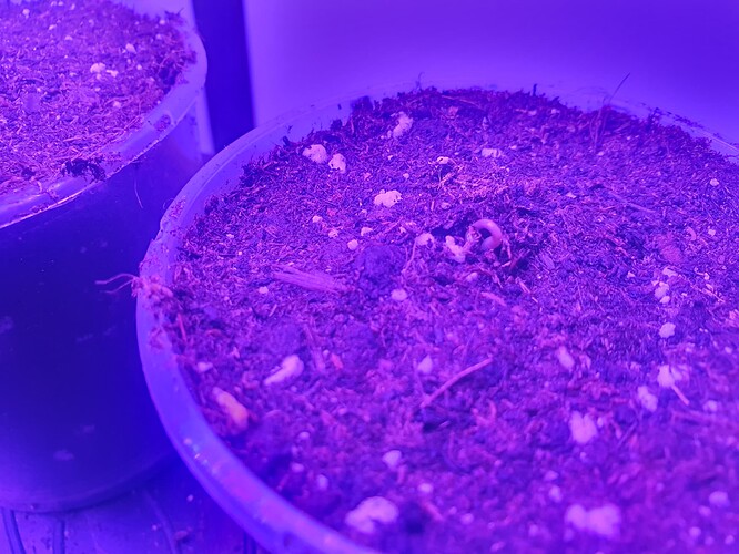 20231014_105848 - Kopie