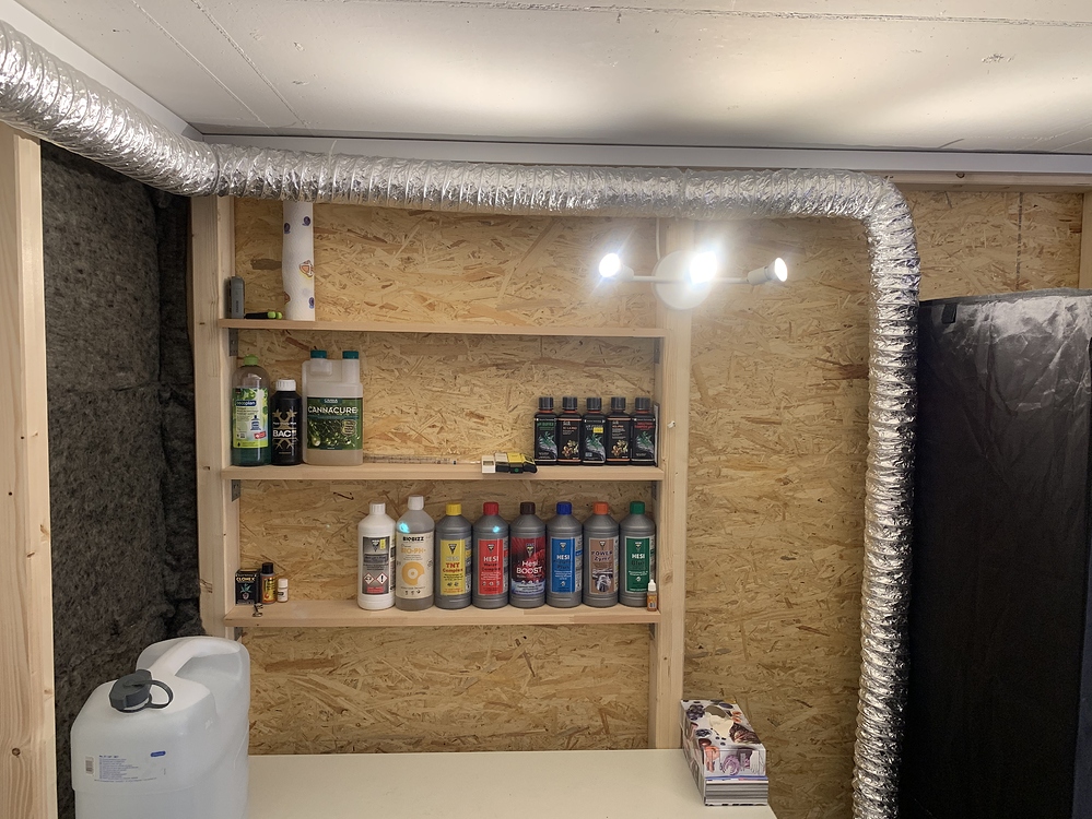 Dritter Indoor-Grow Skunk#1 Q6W Gen2 / Vierter Grow Skunk#1 Bloomstar 120Watt