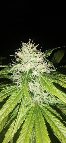 Growreport Bild 9