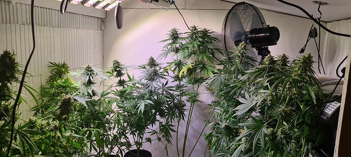 Growreport Bild 15