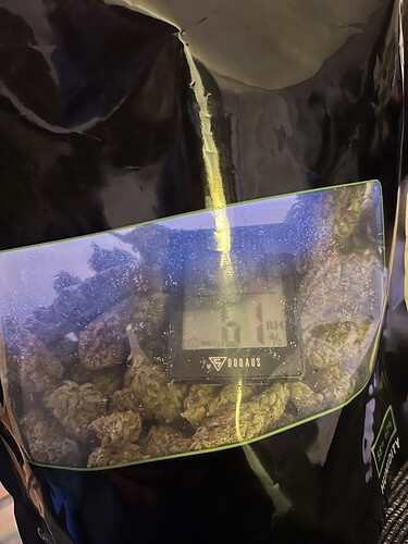 Growreport Bild 36