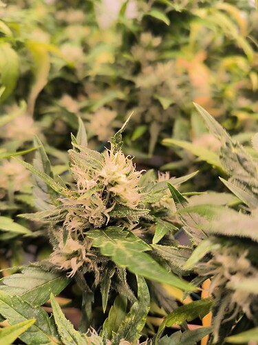 Growreport Bild 18