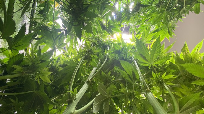 Growreport Bild 5