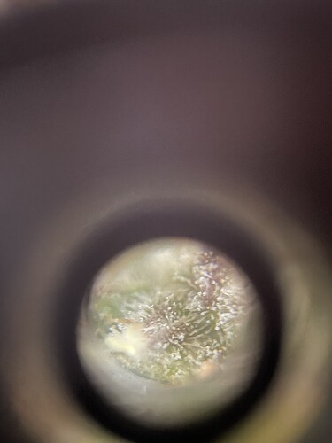 IMG_8033