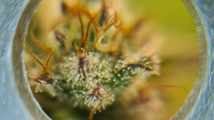 Growreport Bild 18