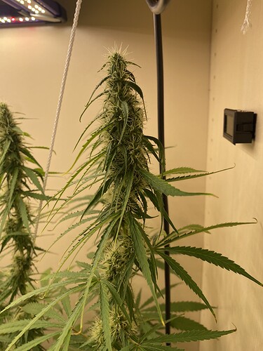 Growreport Bild 16