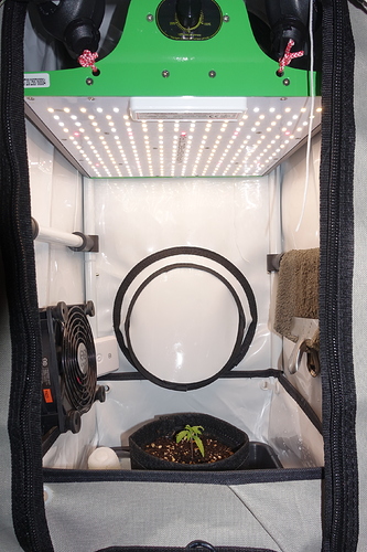 Growreport Bild 7