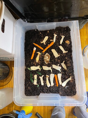 Growreport Bild 13