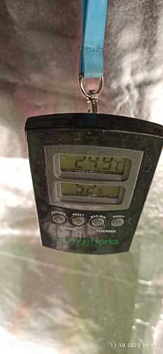 IMG-20231011-WA0032