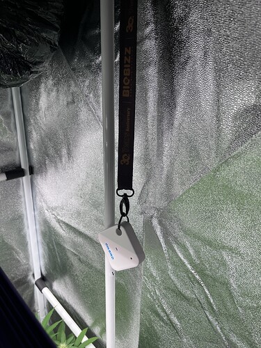 Growreport Bild 10