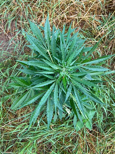 Growreport Bild 11