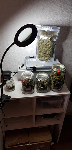 16038743221092111816172099612284