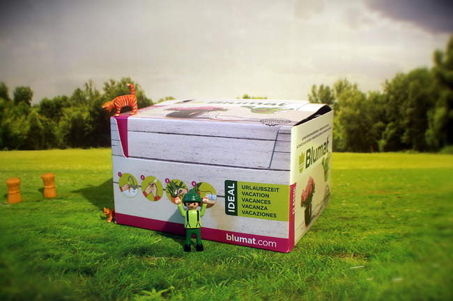 Growreport Bild 12