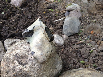 Growreport Bild 16