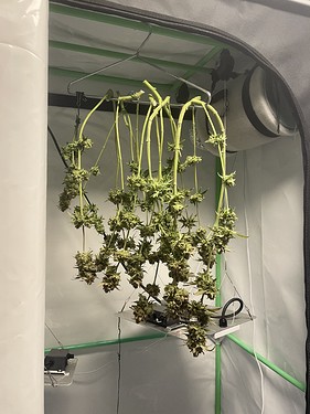 Growreport Bild 14