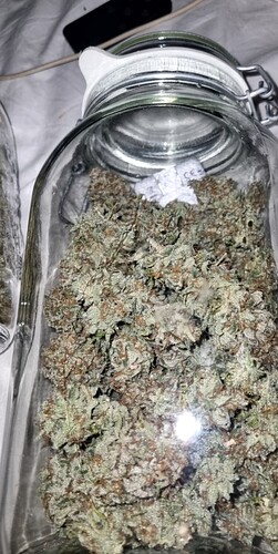 Growreport Bild 21
