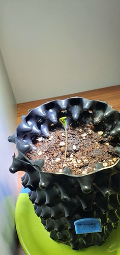 82f29aa5-0803-49c3-9783-50baf0afd286