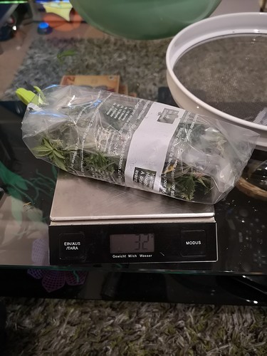 Growreport Bild 6