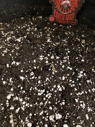 Growreport Bild 7
