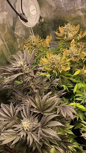 Growreport Bild 11