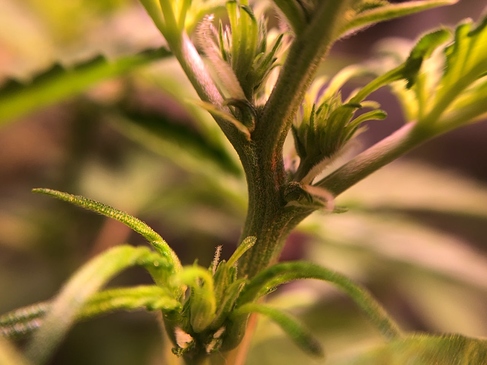 Growreport Bild 25