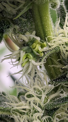 PXL_20231006_114407541