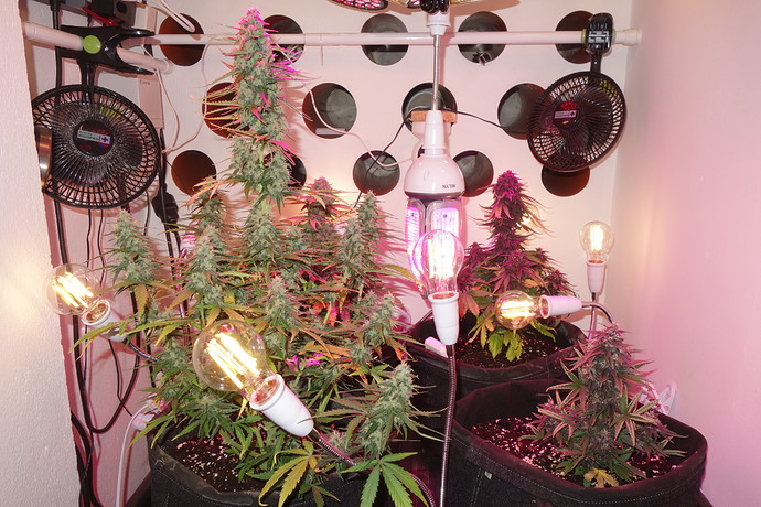 Growreport Bild 7