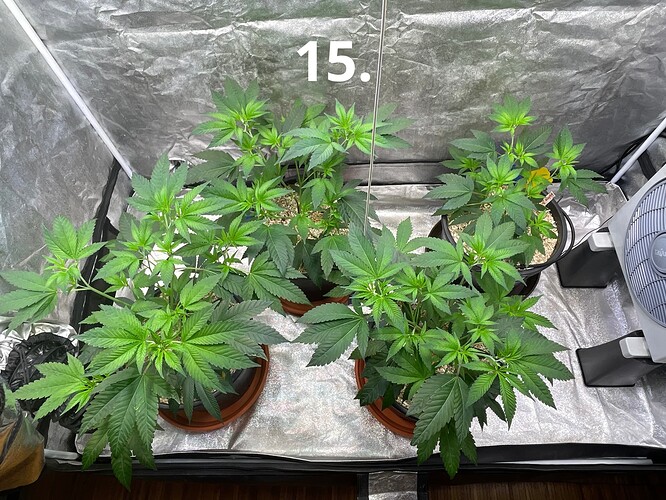 Growreport Bild 8