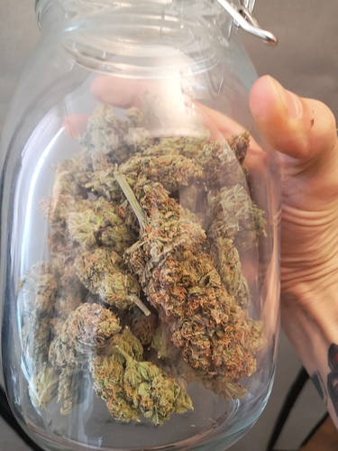 Growreport Bild 6