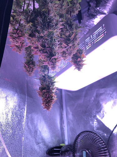 Growreport Bild 3