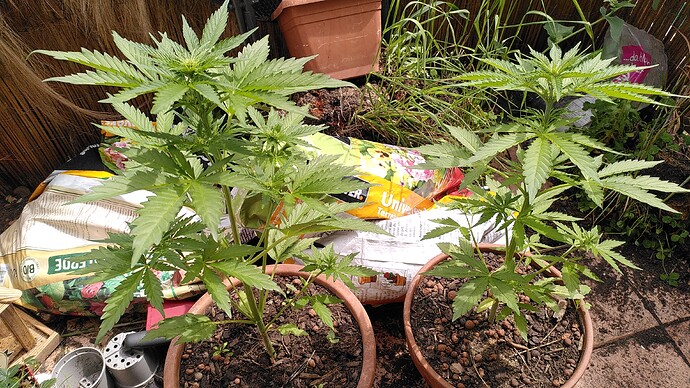 Growreport Bild 8