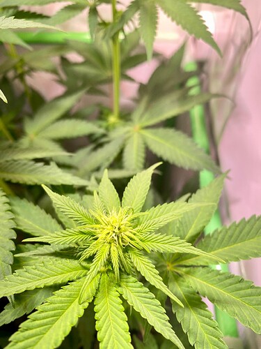 Growreport Bild 8