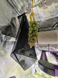 IMG_20220822_012829