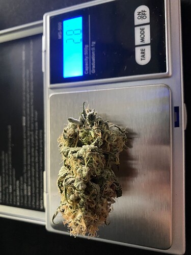 Growreport Bild 11